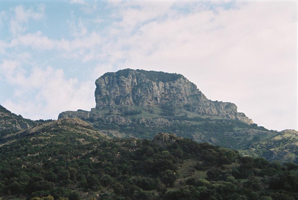 הוילה ארבוס Agriturismo Satanca מראה חיצוני תמונה