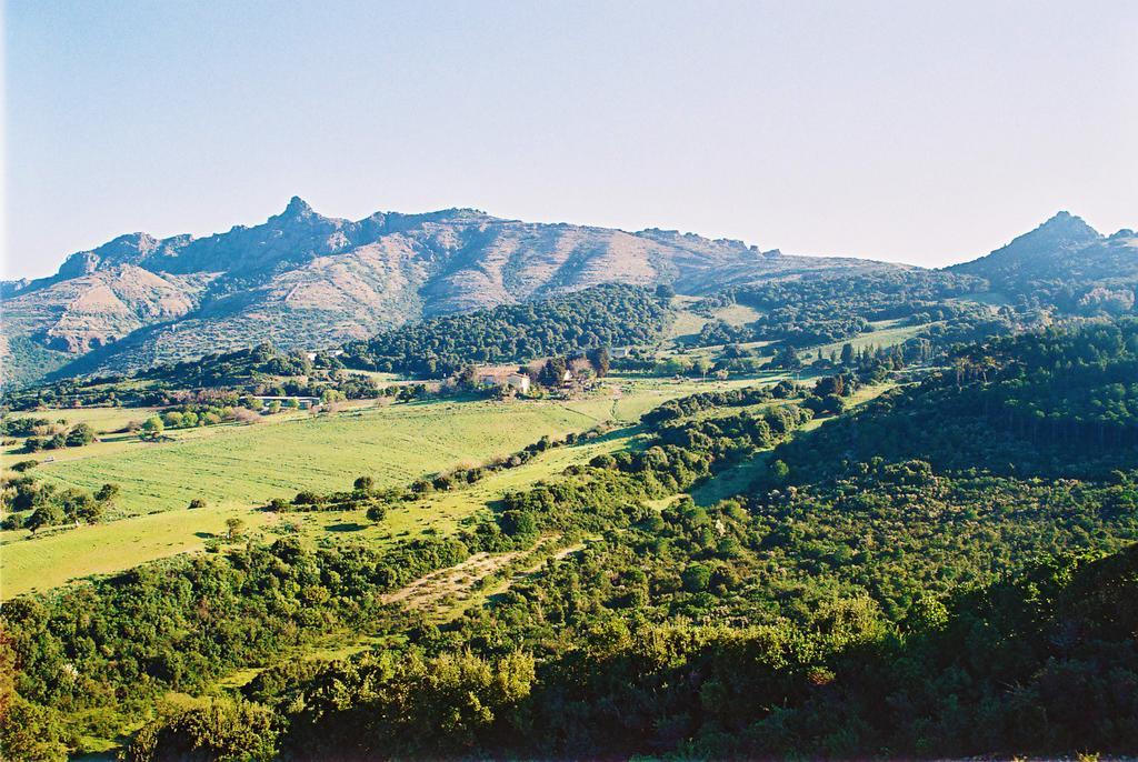 הוילה ארבוס Agriturismo Satanca מראה חיצוני תמונה
