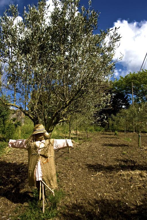 הוילה ארבוס Agriturismo Satanca מראה חיצוני תמונה