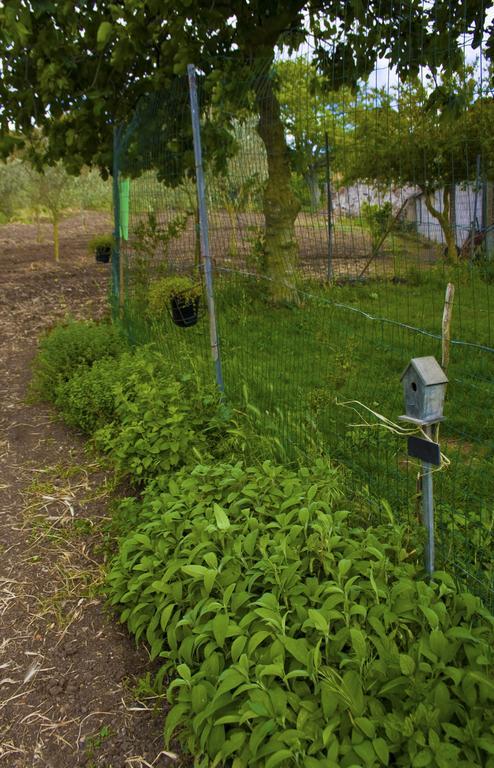 הוילה ארבוס Agriturismo Satanca מראה חיצוני תמונה