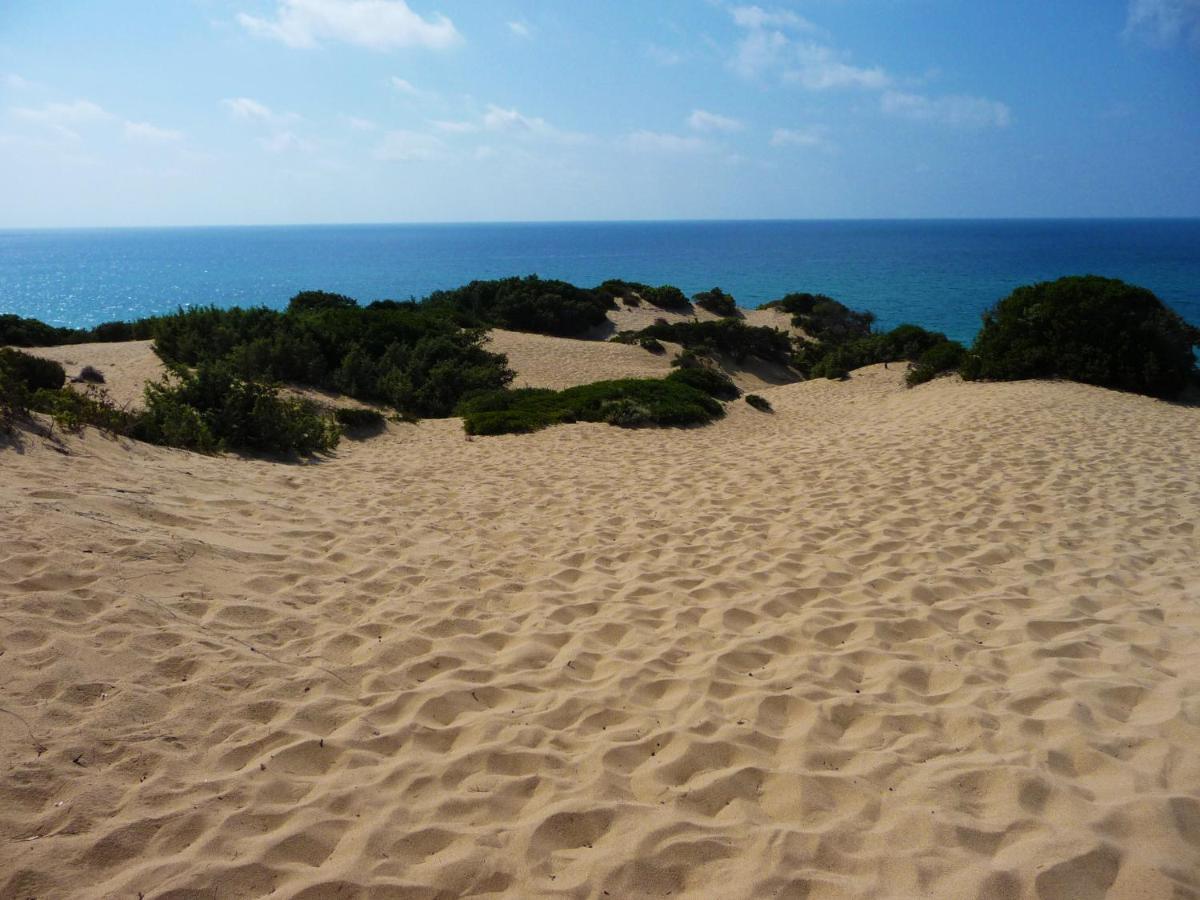הוילה ארבוס Agriturismo Satanca מראה חיצוני תמונה
