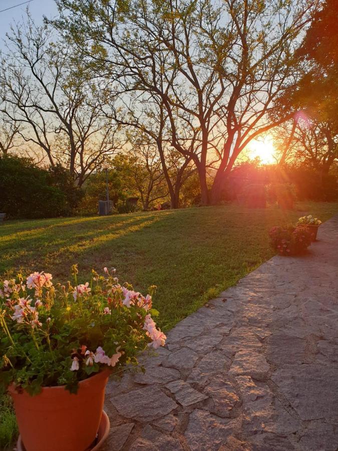 הוילה ארבוס Agriturismo Satanca מראה חיצוני תמונה